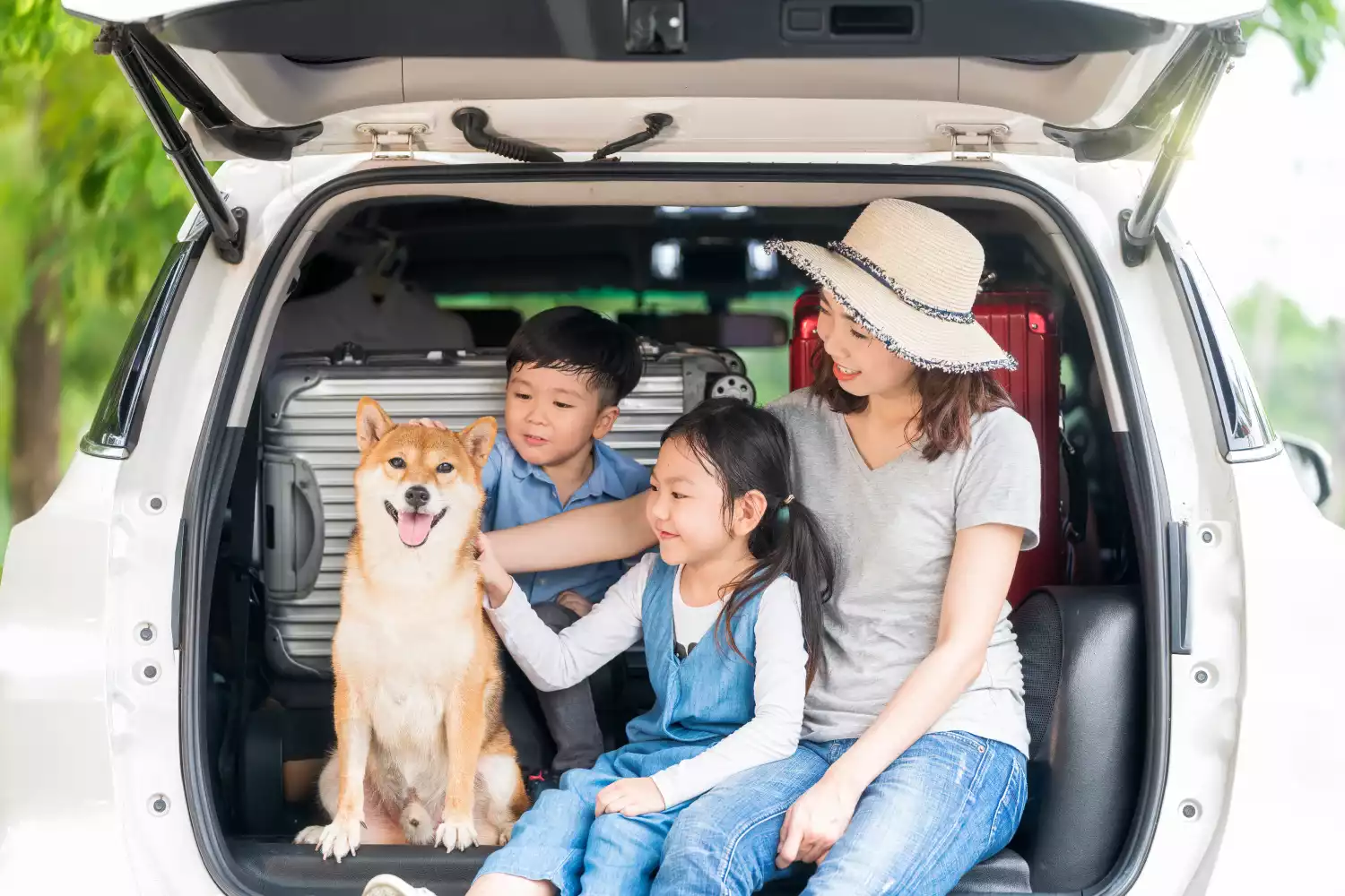 Subaru Crosstrek Dog Car Seat for Shiba Inu